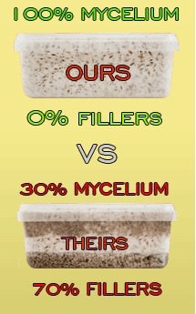 100 mycelium growbox